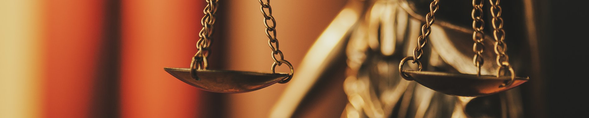 Law & Justice Division